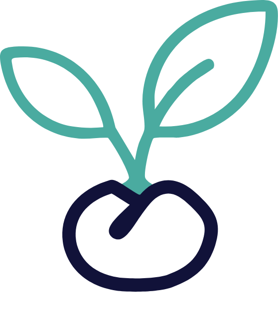 Seed Funding Icon (1)